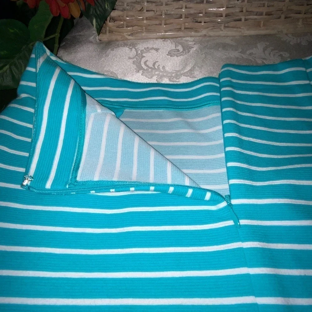 Talbots Aqua & White Striped A-Line Stretchy Skirt With Pockets 2P